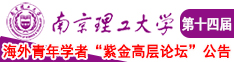 大鸡巴插小嫩逼免费视频观看南京理工大学第十四届海外青年学者紫金论坛诚邀海内外英才！